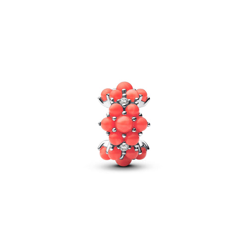 Coral-colored Ocean Charm